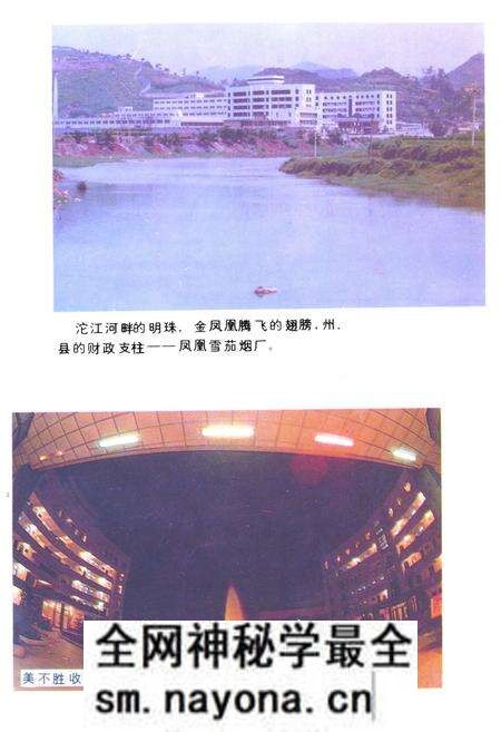 《《凤凰雪茄烟厂志》》.pdf电子版_湖南省志预览图2 《《凤凰雪茄烟厂志》》.pdf电子版_湖南省志预览图2