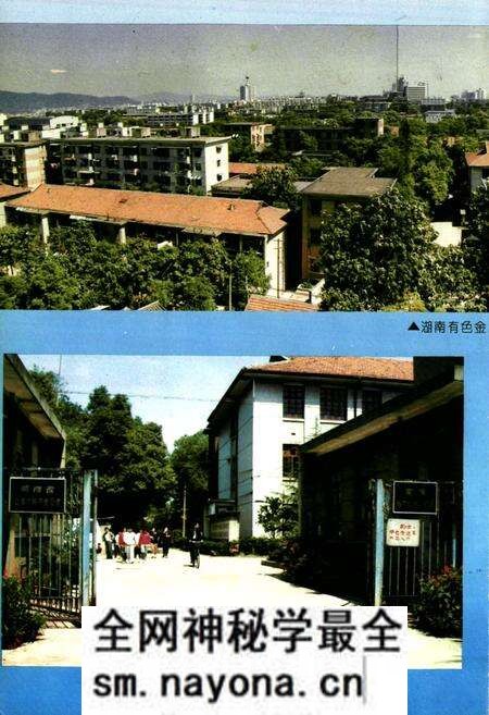 《湖南有色金属研究所志(1986-1990)》.pdf电子版_湖南省志预览图4 《湖南有色金属研究所志(1986-1990)》.pdf电子版_湖南省志预览图4