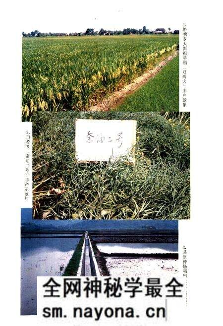 《望城县农业志》.pdf电子版_湖南省志预览图5 《望城县农业志》.pdf电子版_湖南省志预览图5