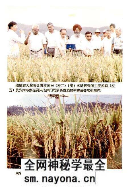 《郴州地区农业志》.pdf电子版_湖南省志预览图4 《郴州地区农业志》.pdf电子版_湖南省志预览图4