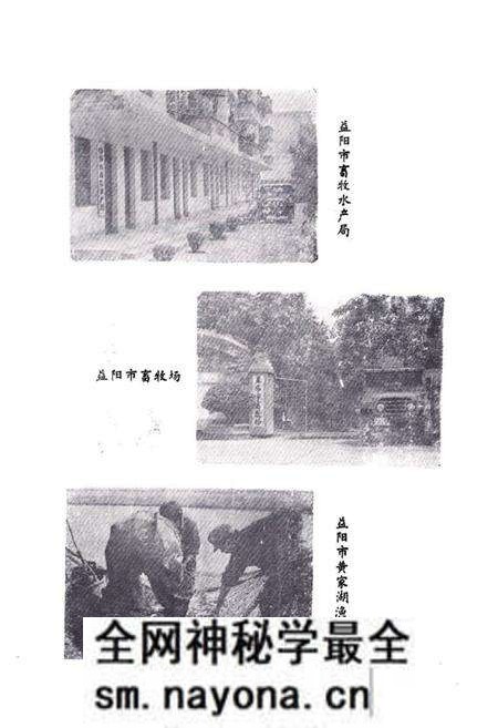 《益阳市畜牧水产志》.pdf电子版_湖南省志预览图3 《益阳市畜牧水产志》.pdf电子版_湖南省志预览图3