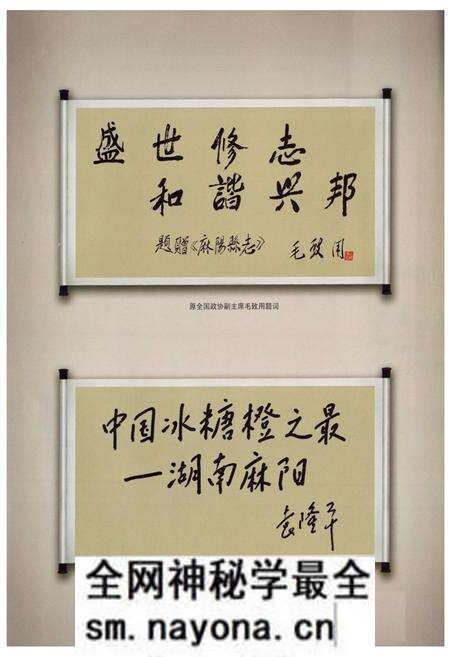 《麻阳县志(1978~2005)》.pdf电子版_湖南省志预览图5 《麻阳县志(1978~2005)》.pdf电子版_湖南省志预览图5