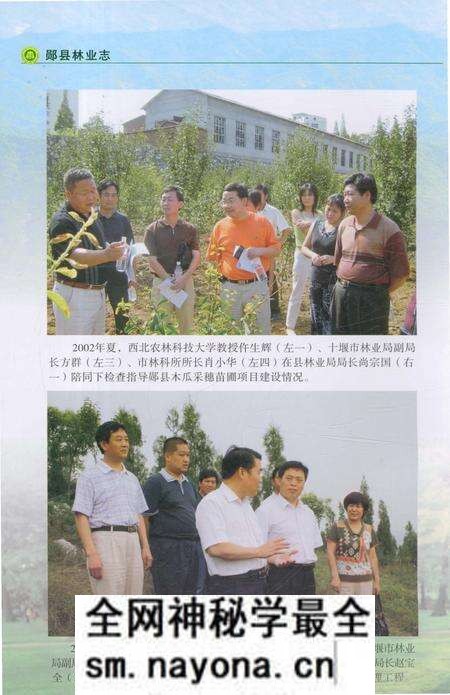 《郧县林业志》.pdf电子版_湖北省志预览图4 《郧县林业志》.pdf电子版_湖北省志预览图4