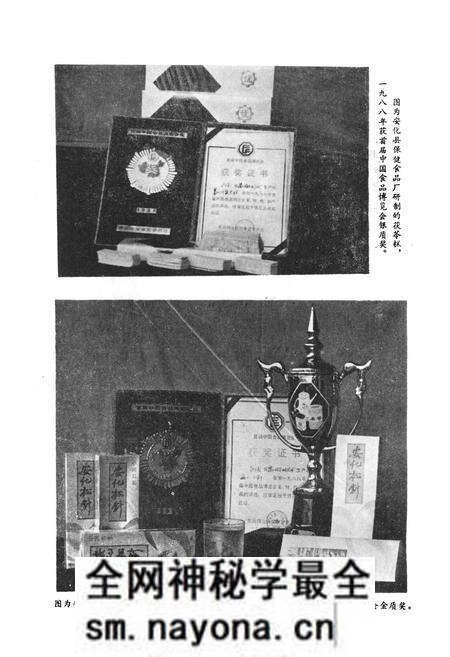 《《安化县科学技术志(1840-1988)》》.pdf电子版_湖南省志预览图5