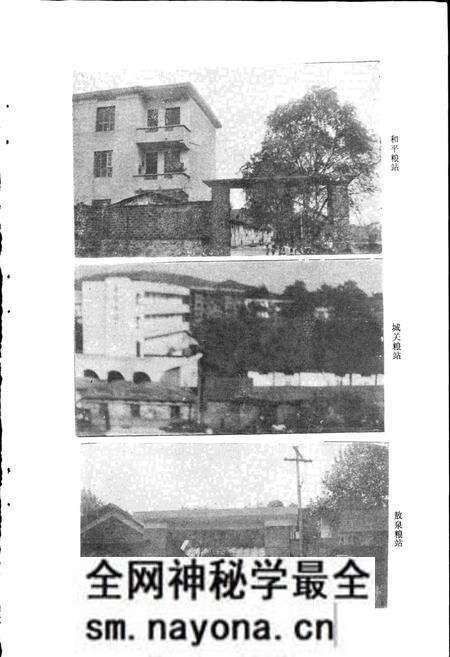 《桂阳县粮食志》.pdf电子版_湖南省志预览图5 《桂阳县粮食志》.pdf电子版_湖南省志预览图5