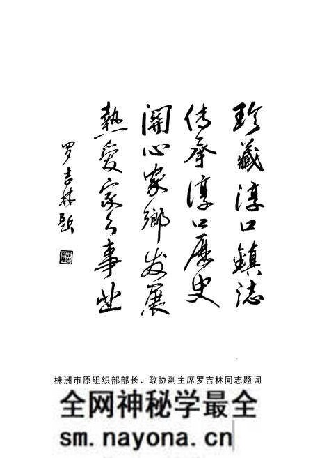 《湖南省浏阳市淳口镇志》.pdf电子版_湖南省志预览图3 《湖南省浏阳市淳口镇志》.pdf电子版_湖南省志预览图3