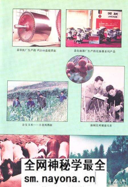 《《新晃侗族自治县·科学技术志》》.pdf电子版_湖南省志预览图5 《《新晃侗族自治县·科学技术志》》.pdf电子版_湖南省志预览图5