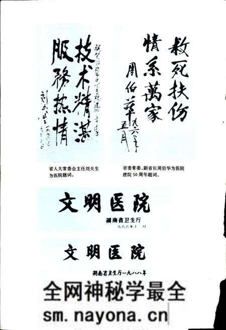 《邵阳市中心医院志》.pdf电子版_湖南省志预览图3 《邵阳市中心医院志》.pdf电子版_湖南省志预览图3
