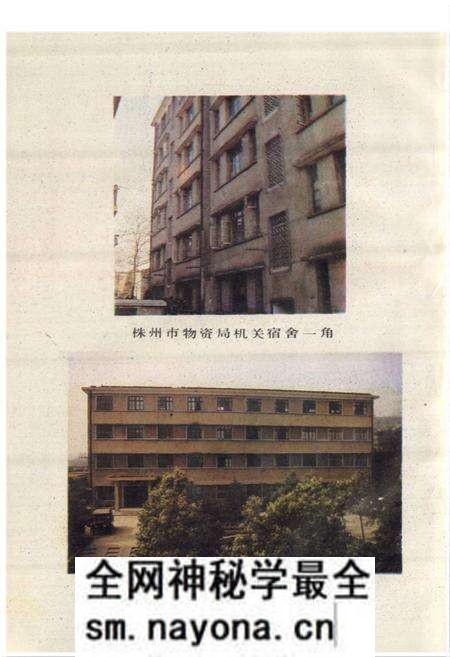 《株洲市物资局志(1958-1987)》.pdf电子版_湖南省志预览图5