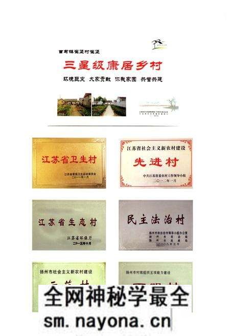 《崔堡村志》.pdf电子版_江苏省志预览图4 《崔堡村志》.pdf电子版_江苏省志预览图4