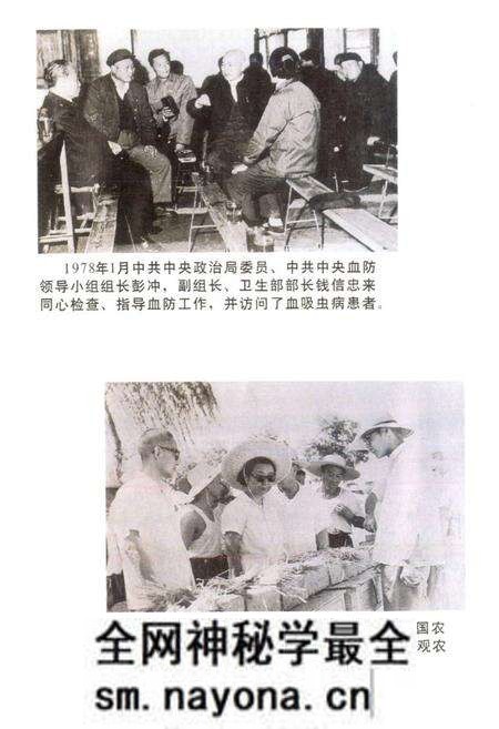 《同心村志》.pdf电子版_江苏省志预览图5 《同心村志》.pdf电子版_江苏省志预览图5