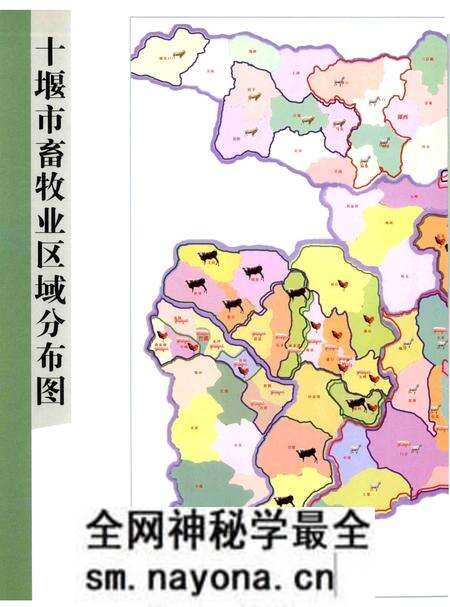 《十堰市畜牧兽医志（1866-2008）》.pdf电子版_湖北省志预览图5