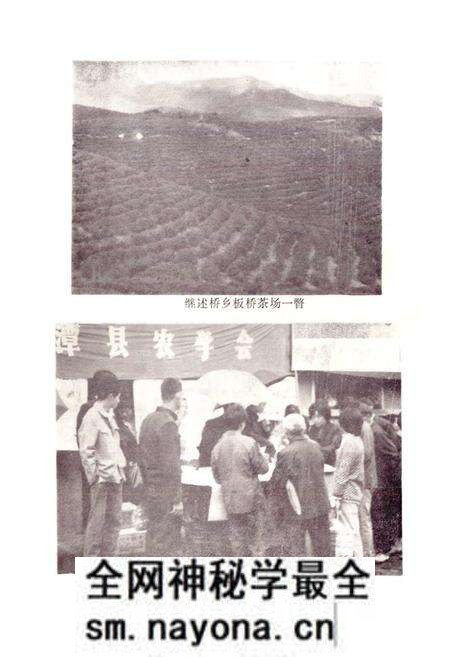 《湘潭县农业志》.pdf电子版_湖南省志预览图4 《湘潭县农业志》.pdf电子版_湖南省志预览图4