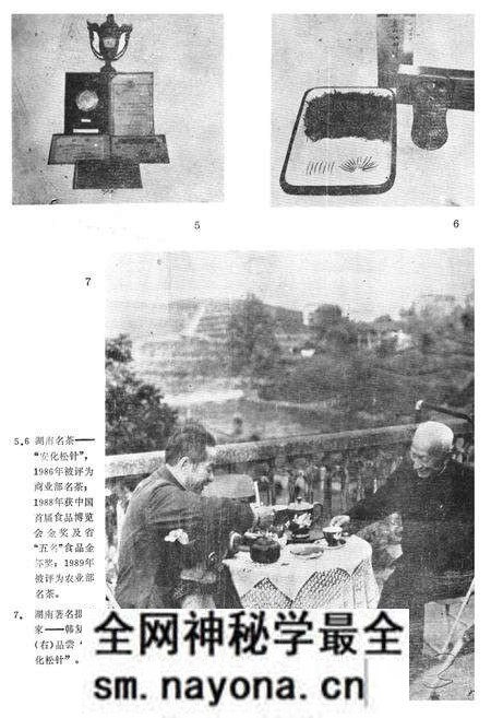 《《安化县茶叶志》》.pdf电子版_湖南省志预览图4 《《安化县茶叶志》》.pdf电子版_湖南省志预览图4