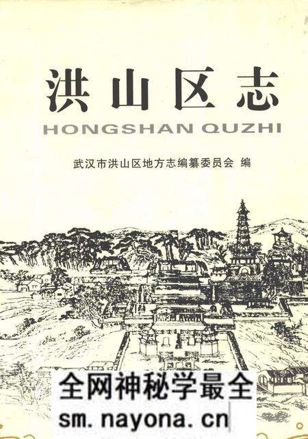 《洪山区志》.pdf电子版_湖北省志预览图