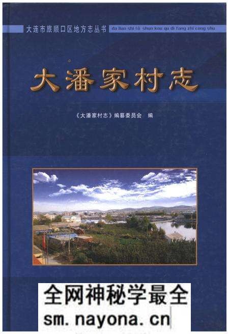 《大潘家村志》.pdf电子版_湖南省志预览图