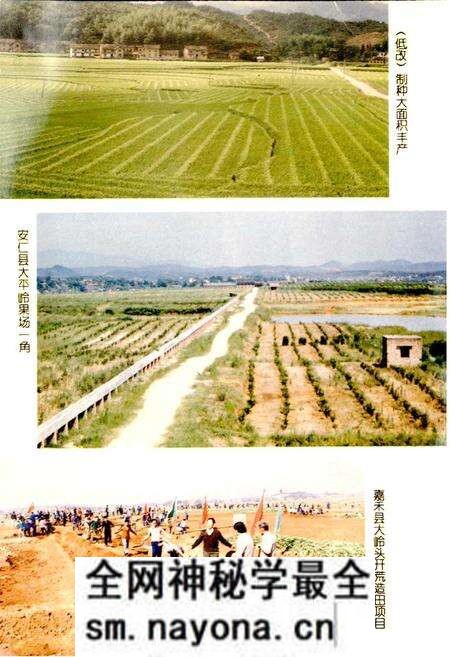《郴州地区农业志》.pdf电子版_湖南省志预览图5 《郴州地区农业志》.pdf电子版_湖南省志预览图5