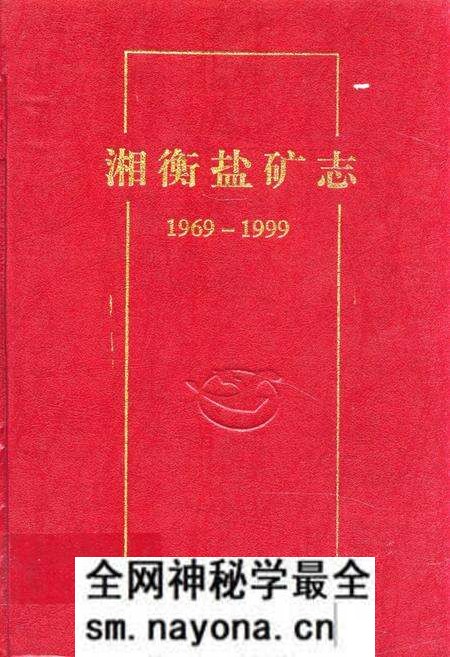 《《湘衡盐矿志(1969-1999)》》.pdf电子版_湖南省志预览图