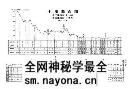 《常宁县土壤志》.pdf电子版_湖南省志预览图5 《常宁县土壤志》.pdf电子版_湖南省志预览图5