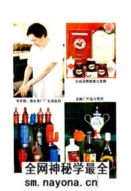 《平江县工业志》.pdf电子版_湖南省志预览图3 《平江县工业志》.pdf电子版_湖南省志预览图3