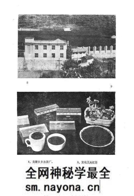 《《安化县茶叶志》》.pdf电子版_湖南省志预览图5 《《安化县茶叶志》》.pdf电子版_湖南省志预览图5