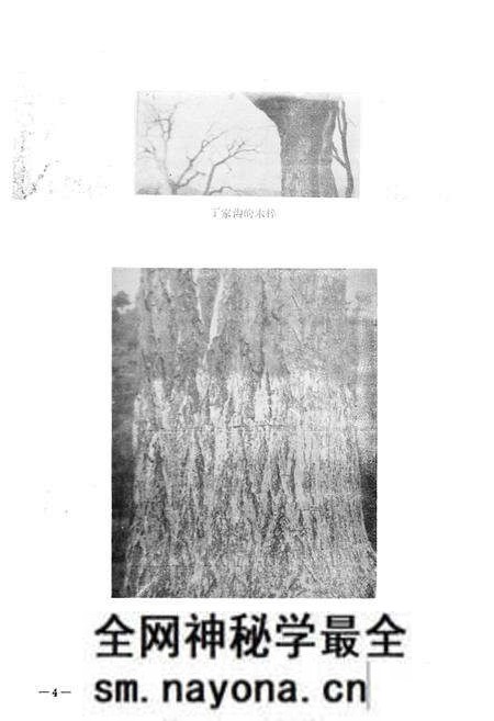 《宜都县土壤志》.pdf电子版_湖北省志预览图4 《宜都县土壤志》.pdf电子版_湖北省志预览图4