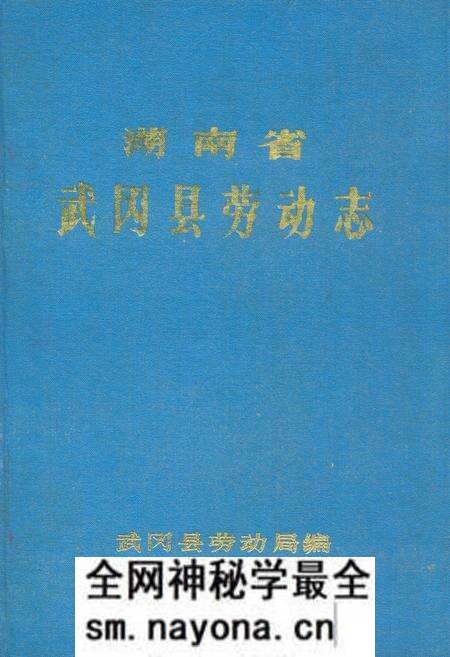 《武冈县劳动志(1949-1990)》.pdf电子版_湖南省志预览图 《武冈县劳动志(1949-1990)》.pdf电子版_湖南省志预览图