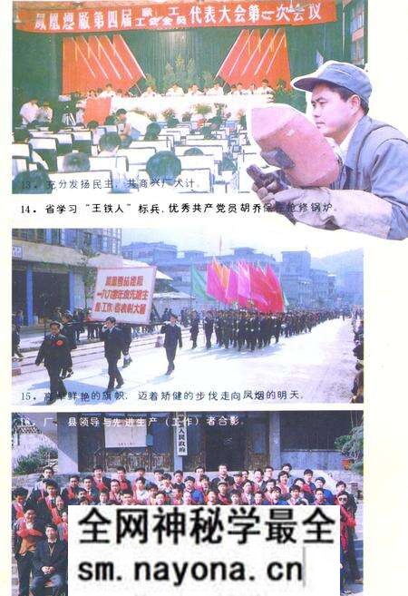 《《凤凰雪茄烟厂志》》.pdf电子版_湖南省志预览图5 《《凤凰雪茄烟厂志》》.pdf电子版_湖南省志预览图5