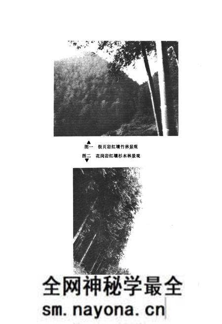 《桃江县土壤志》.pdf电子版_湖南省志预览图3 《桃江县土壤志》.pdf电子版_湖南省志预览图3