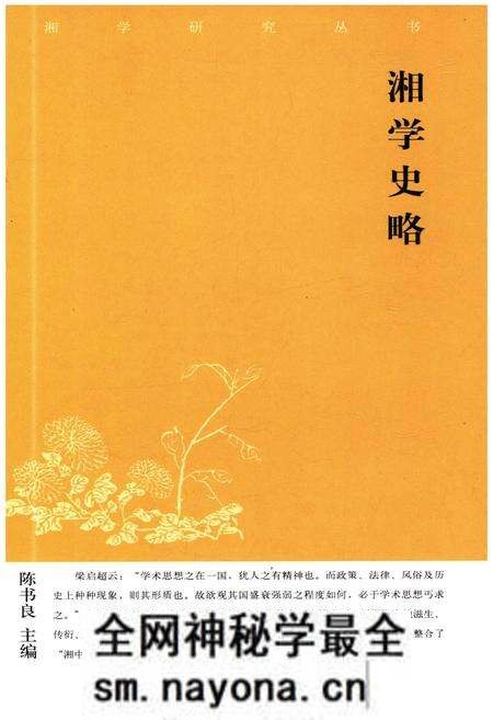 《湘学史略》.pdf电子版_湖南省志预览图