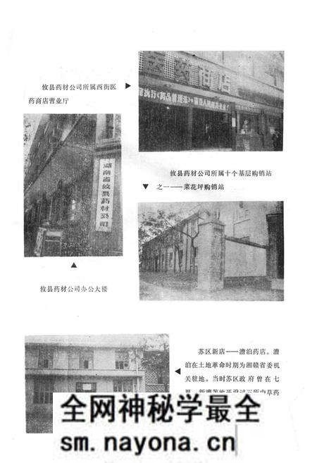 《攸县药业志》.pdf电子版_湖南省志预览图5