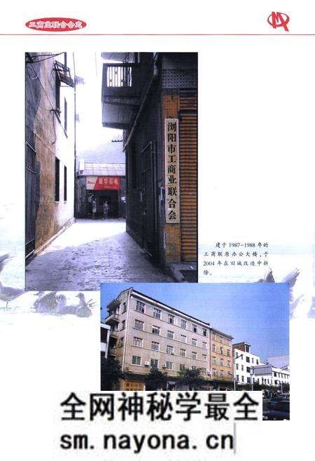 《工商业联合会志(1952-2006)》.pdf电子版_湖南省志预览图5 《工商业联合会志(1952-2006)》.pdf电子版_湖南省志预览图5