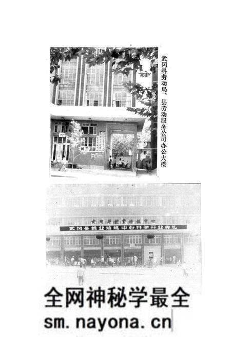 《武冈县劳动志(1949-1990)》.pdf电子版_湖南省志预览图4 《武冈县劳动志(1949-1990)》.pdf电子版_湖南省志预览图4