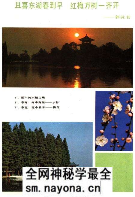 《武汉通览》.pdf电子版_湖北省志预览图5 《武汉通览》.pdf电子版_湖北省志预览图5