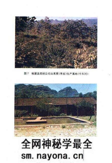 《桃源县志·第十四卷·药业志》.pdf电子版_湖南省志预览图5 《桃源县志·第十四卷·药业志》.pdf电子版_湖南省志预览图5