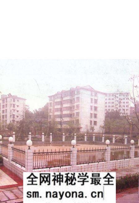 《衡山县劳动保障志》.pdf电子版_湖南省志预览图4 《衡山县劳动保障志》.pdf电子版_湖南省志预览图4