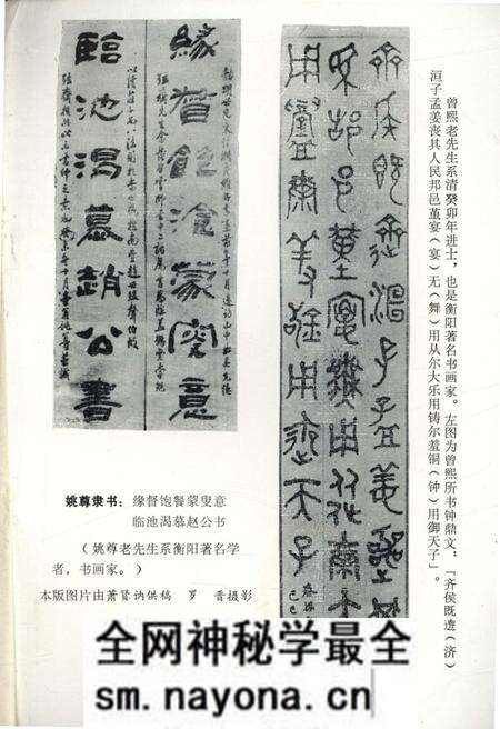 《衡阳文史资料 第五辑》.pdf电子版_湖南省志预览图3