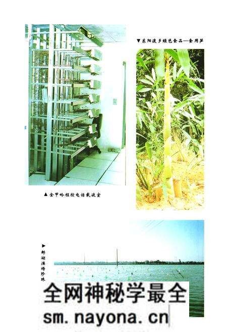 《《衡阳市郊区续志》》.pdf电子版_湖南省志预览图5 《《衡阳市郊区续志》》.pdf电子版_湖南省志预览图5