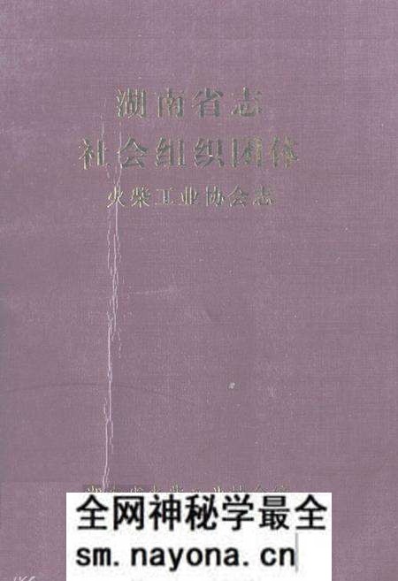 《湖南省志社会组织团体火柴工业协会志》.pdf电子版_湖南省志预览图 《湖南省志社会组织团体火柴工业协会志》.pdf电子版_湖南省志预览图