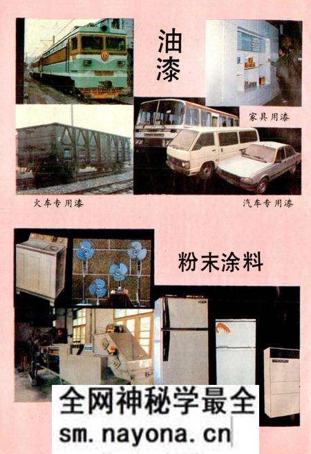 《湖南造漆厂志》.pdf电子版_湖南省志预览图5