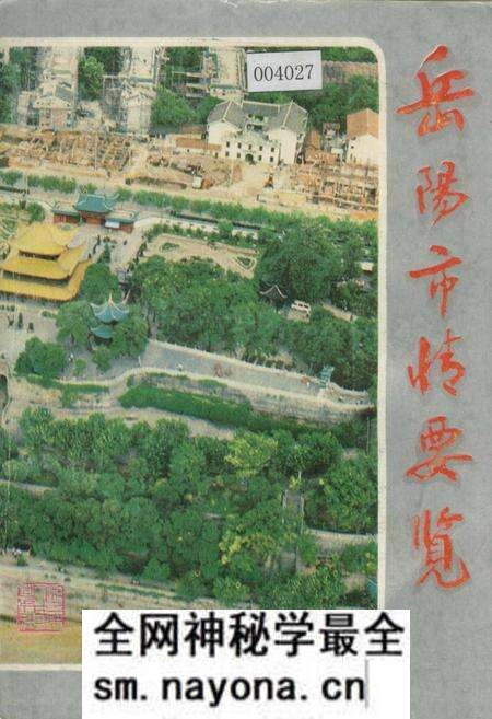 《岳阳市情要览》.pdf电子版_湖南省志预览图