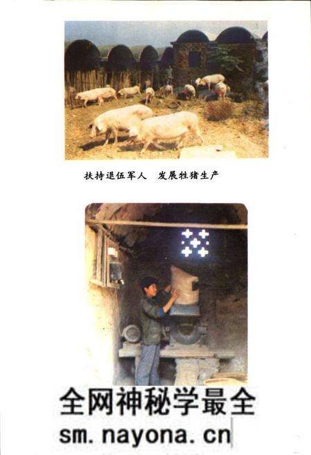 《《零陵县民政志》(1840年-1984年)》.pdf电子版_湖南省志预览图3 《《零陵县民政志》(1840年-1984年)》.pdf电子版_湖南省志预览图3
