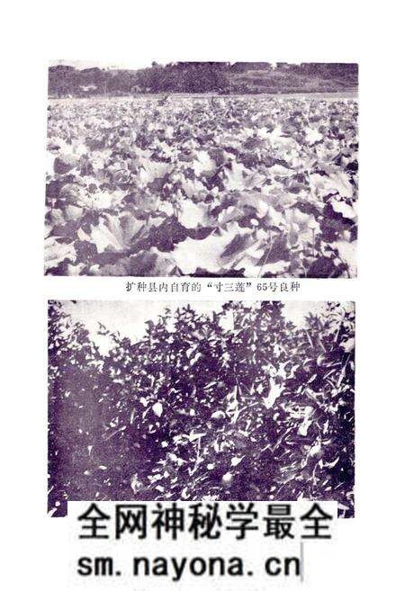 《湘潭县农业志》.pdf电子版_湖南省志预览图3 《湘潭县农业志》.pdf电子版_湖南省志预览图3