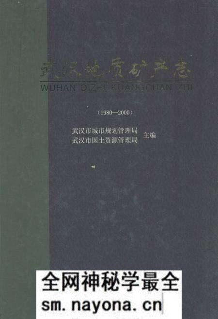 《《武汉地质矿产志》(1980-2000)》.pdf电子版_湖北省志预览图 《《武汉地质矿产志》(1980-2000)》.pdf电子版_湖北省志预览图