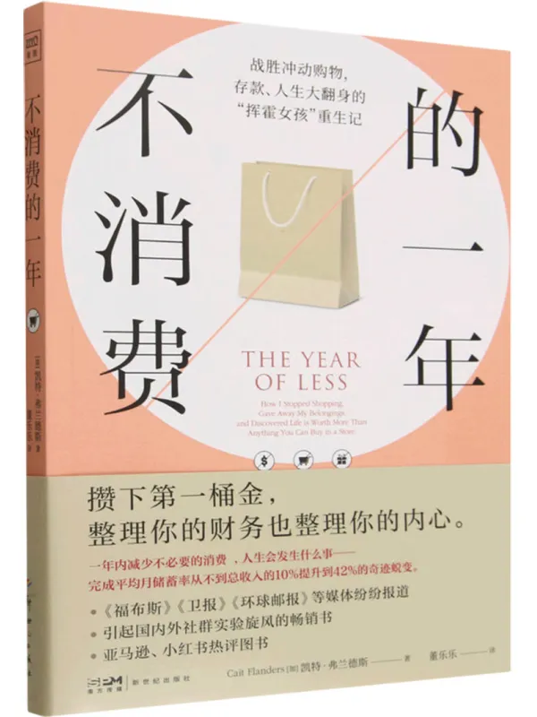 《不消费的一年》封面图片