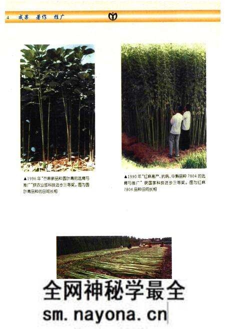 《中国农业科学院麻类研究所志(1959-1997)》.pdf电子版_湖南省志预览图5