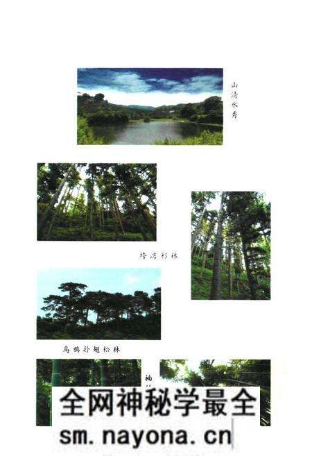《胜峰国有林场志》.pdf电子版_湖南省志预览图5 《胜峰国有林场志》.pdf电子版_湖南省志预览图5