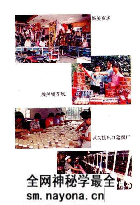 《攸县城关镇志》.pdf电子版_湖南省志预览图5 《攸县城关镇志》.pdf电子版_湖南省志预览图5