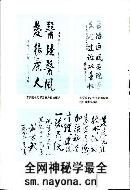 《邵阳市中心医院志》.pdf电子版_湖南省志预览图5 《邵阳市中心医院志》.pdf电子版_湖南省志预览图5