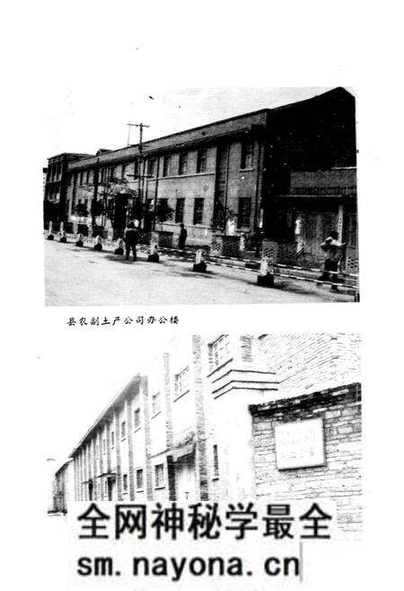 《芷江侗族自治县 供销合作社志》.pdf电子版_湖南省志预览图5